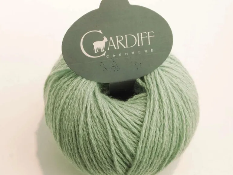 Cardiff Cashmere Classic