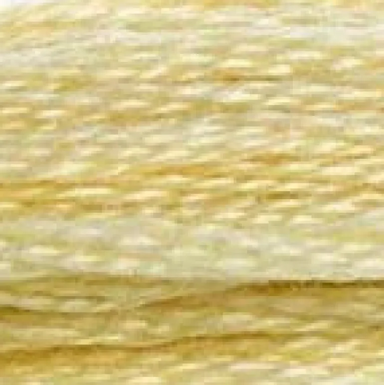 DMC Muliinilanka - 371-740