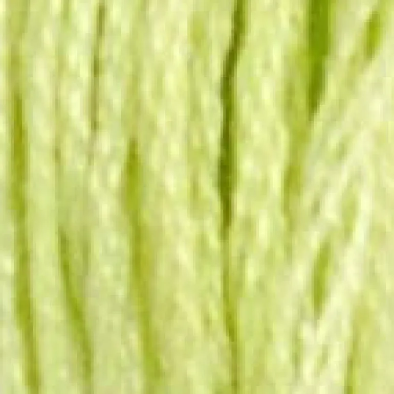 DMC Muliinilanka - 1-35 ja 150-370