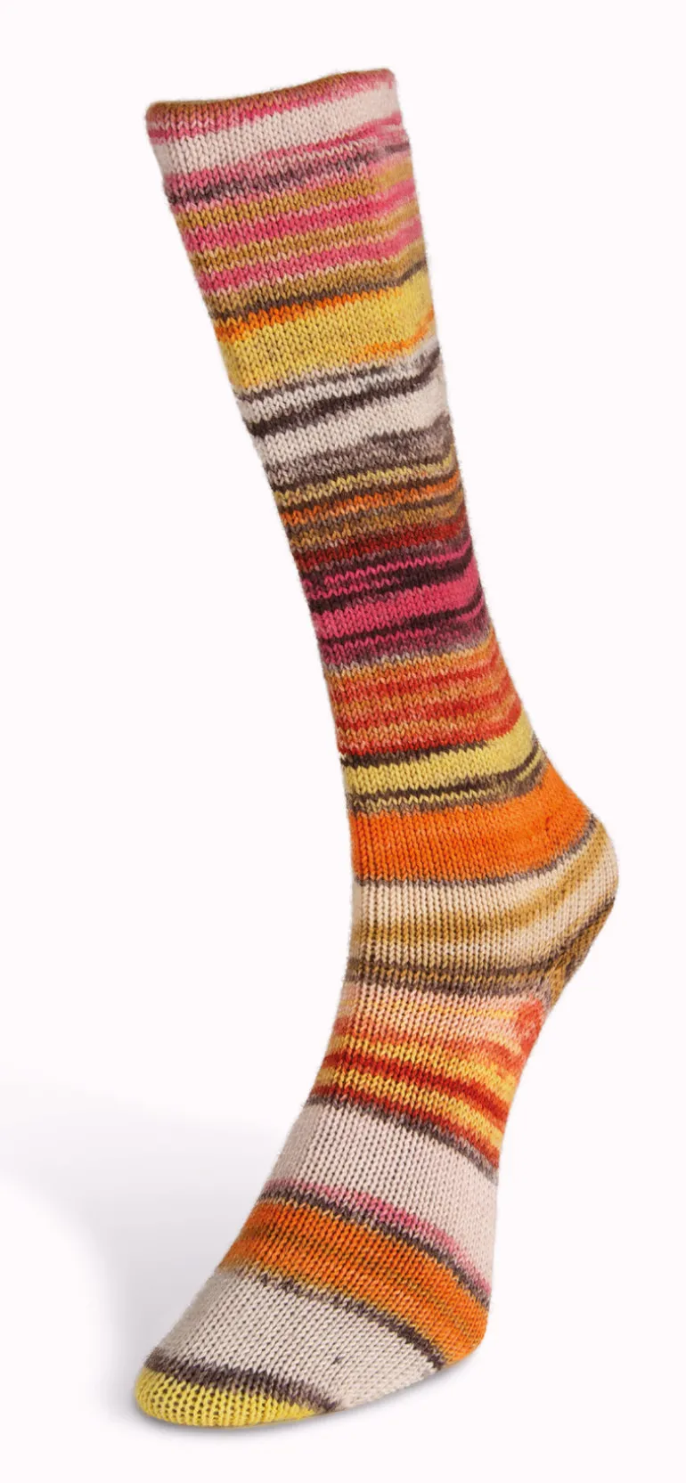 Laines du Nord Eclectic Sock
