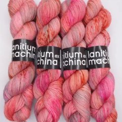 Lanitium ex Machina New Basic Sock