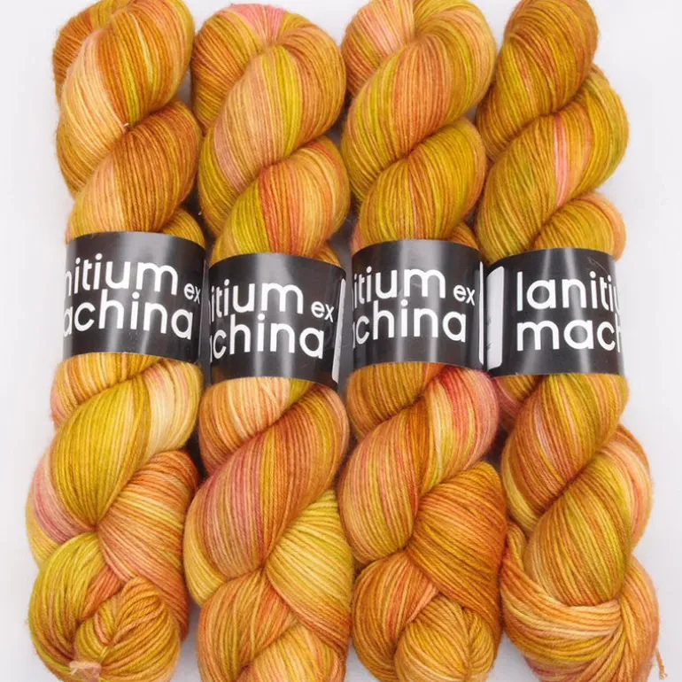 Lanitium ex Machina New Basic Sock