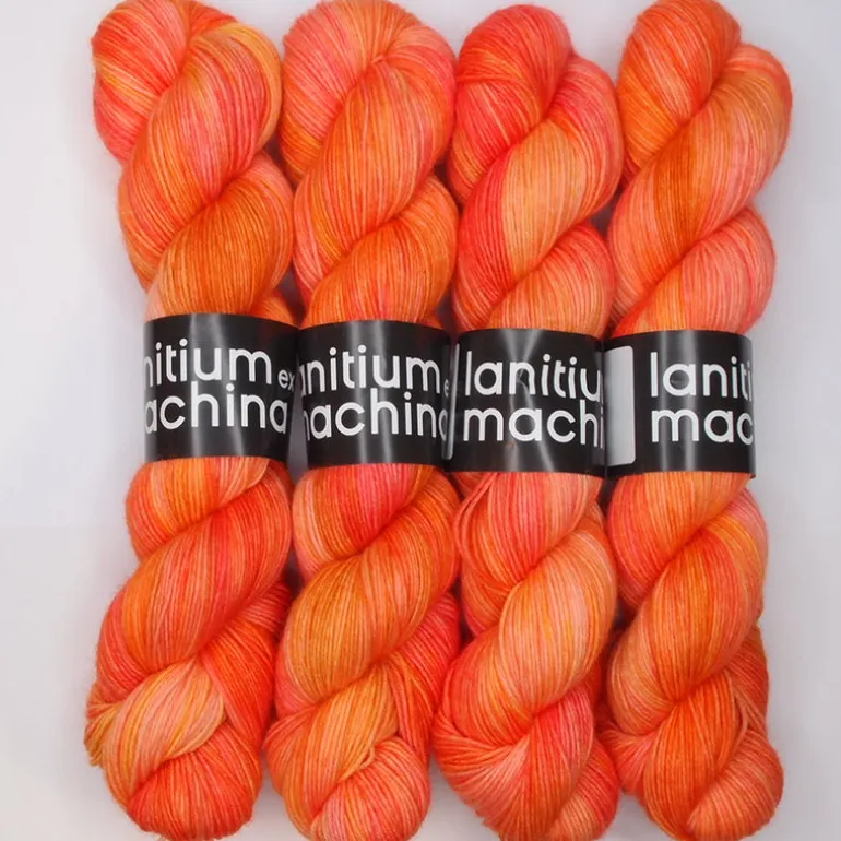 Lanitium ex Machina New Basic Sock