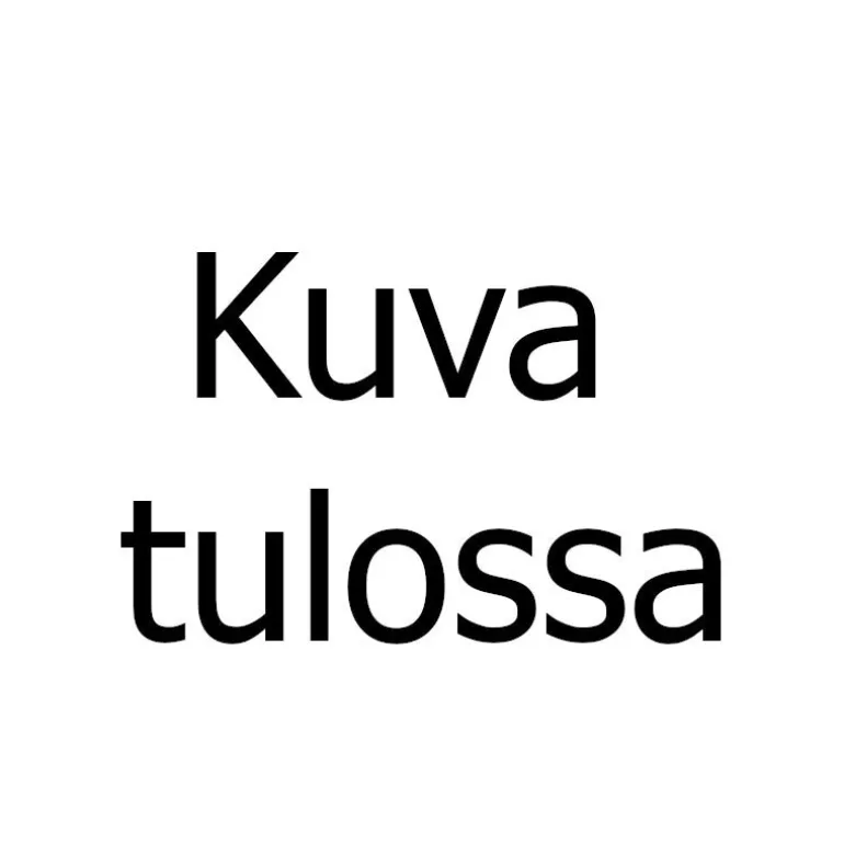 Lanitium ex Machina New Basic Sock