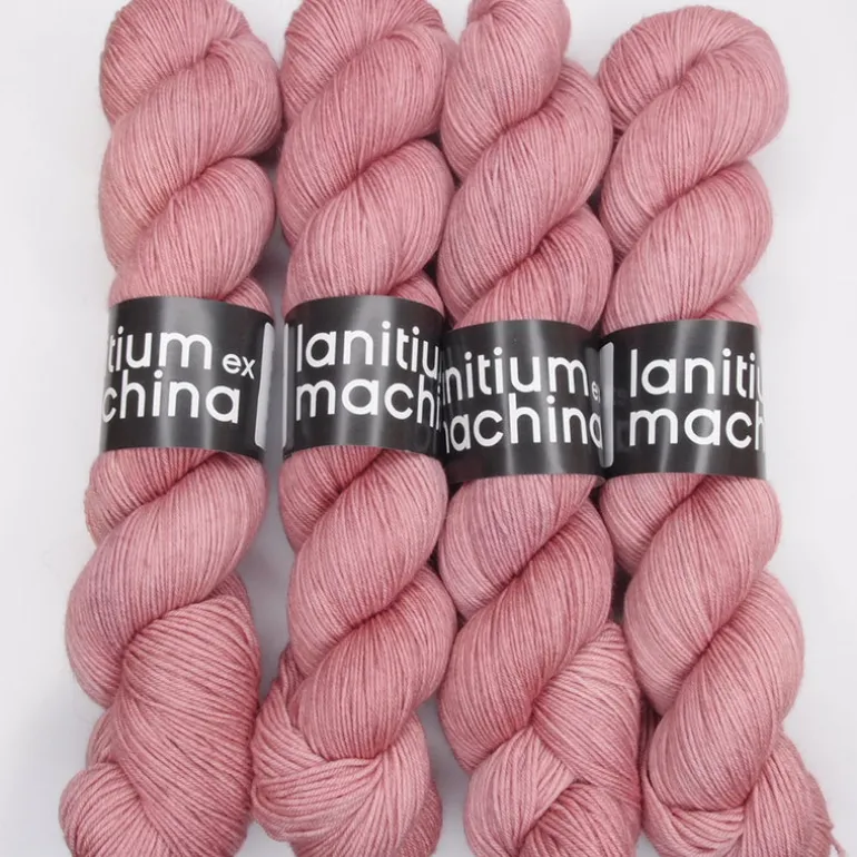 Lanitium ex Machina New Basic Sock