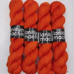 Lanitium ex Machina New Basic Sock