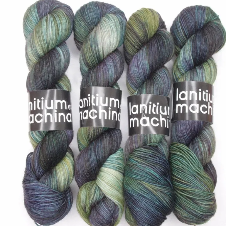 Lanitium ex Machina New Basic Sock
