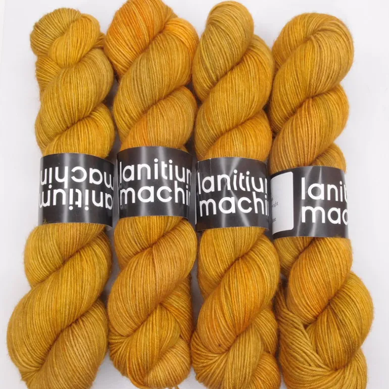 Lanitium ex Machina New Basic Sock