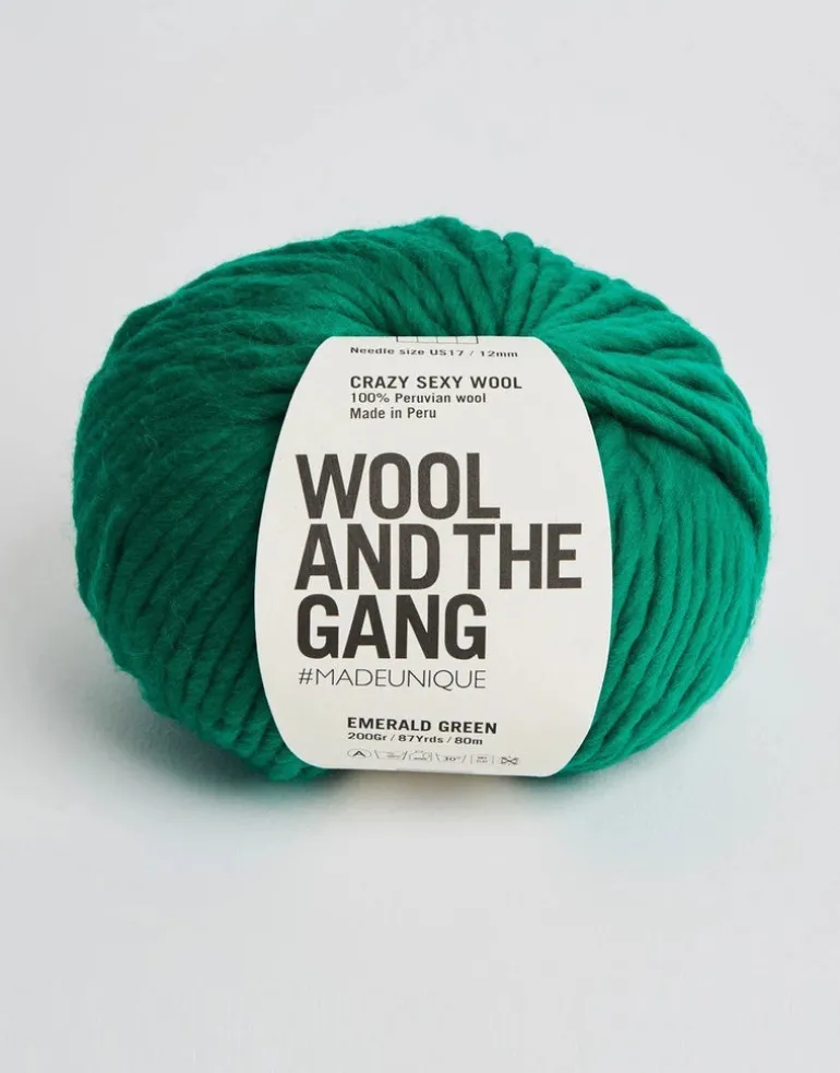 WOOL AND THE GANG, Crazy Sexy Wool