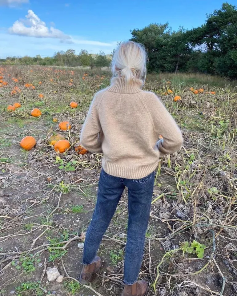 Zipper Sweater by PetiteKnit, in English